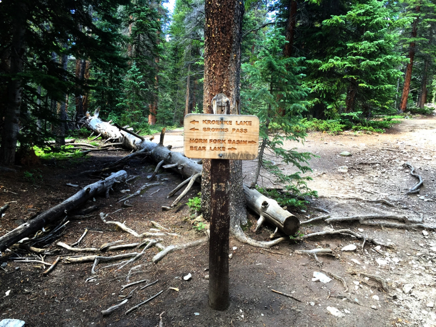An image depicting the trail Kroenke Lake Trail and its surrounding area.