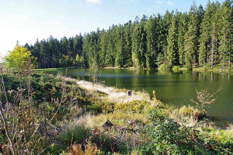 Grumbacher Teich Loop from Bockswiese