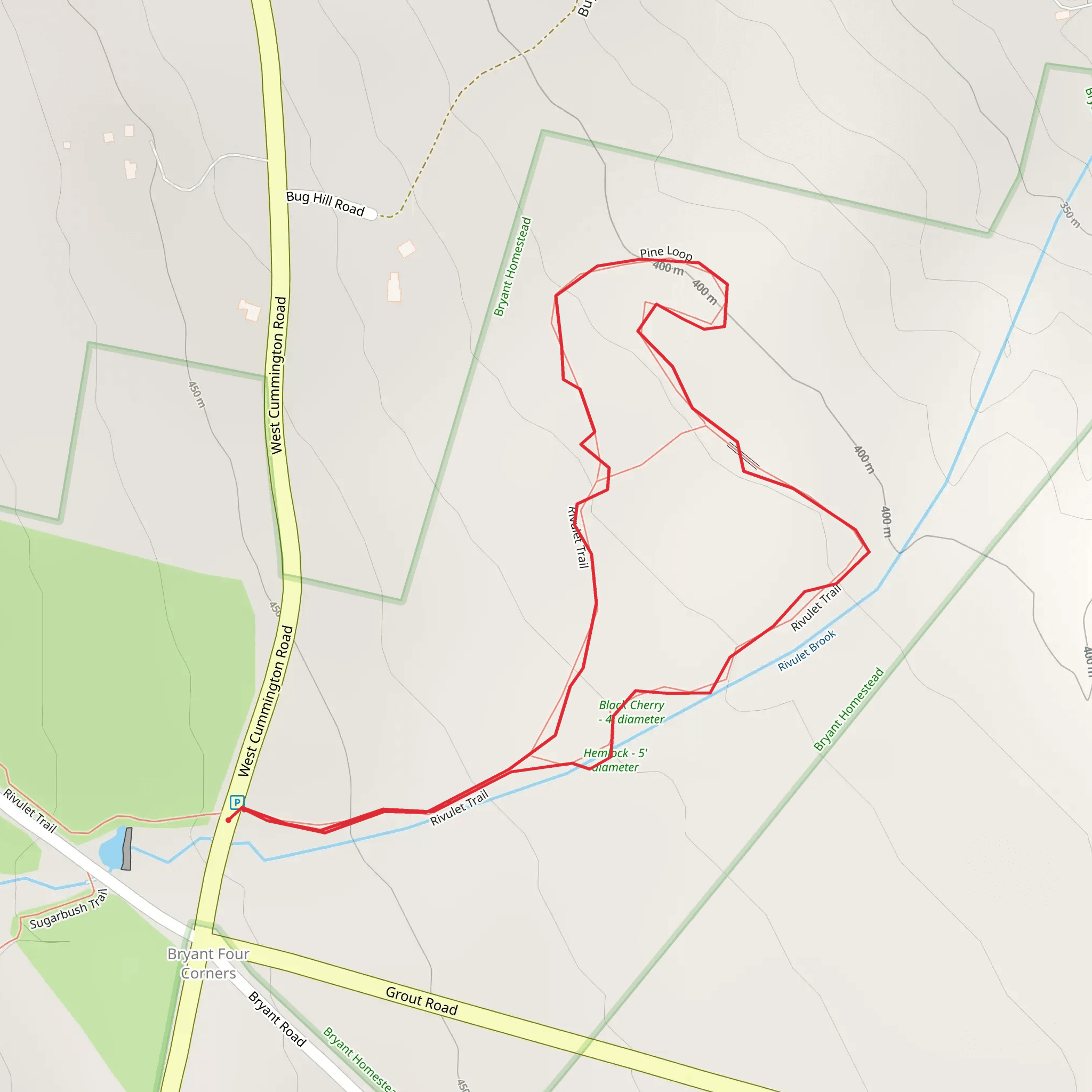 Rivulet Brook Loop mobile static map