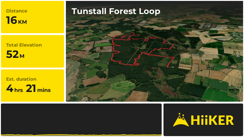 Tunstall Forest Loop | Suffolk | England