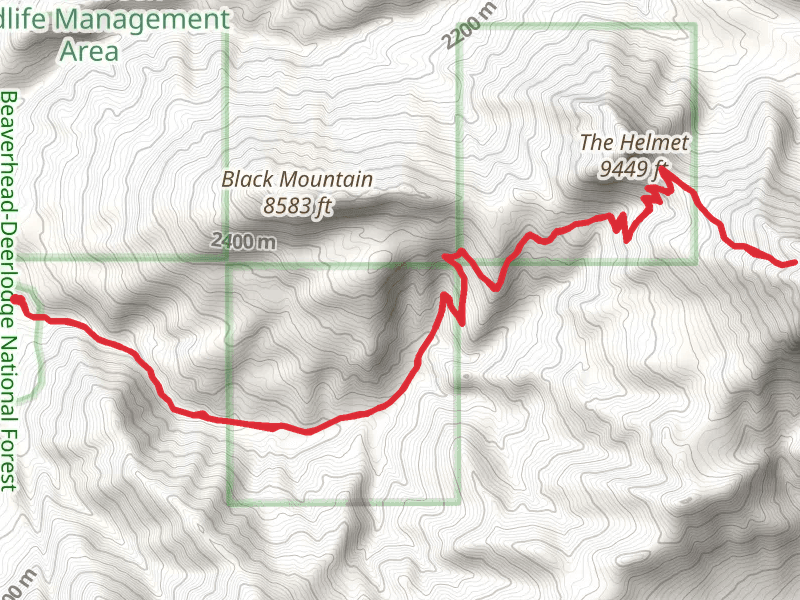 Sphinx Mountain Trail