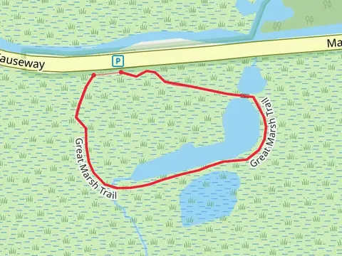 Great Marsh Loop Trail