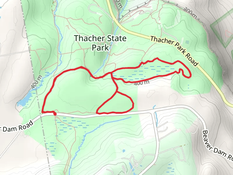 Blue Loop and Yellow Loop via Long Path