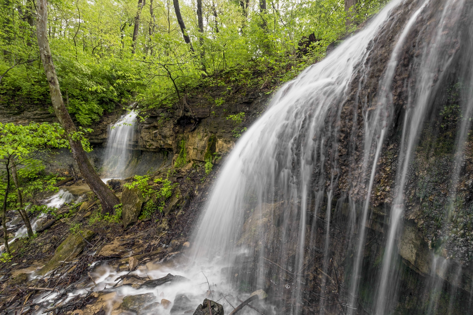 An image depicting the trail Oaks, Patty and Martindale Falls via Green Trail and its surrounding area.