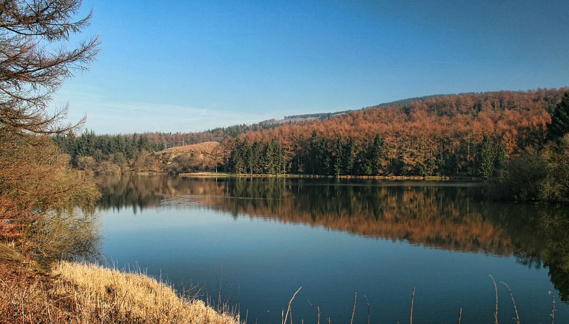 An image depicting the trail Nessit Hill and Trentabank reservoir via Shutlingsloe Walk and its surrounding area.