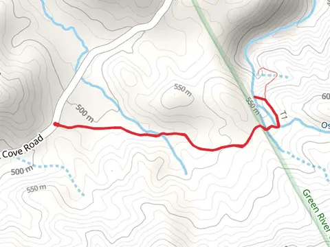 Ostin Creek from Holbert Cove Road