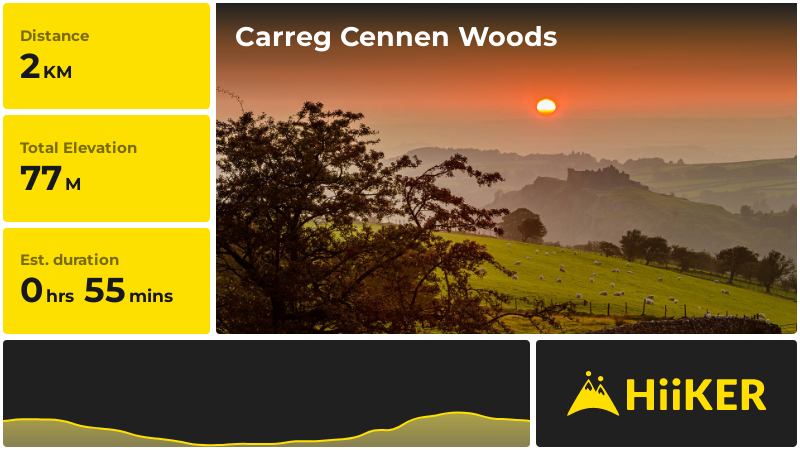 Carreg Cennen Woods | Carmarthenshire | Wales