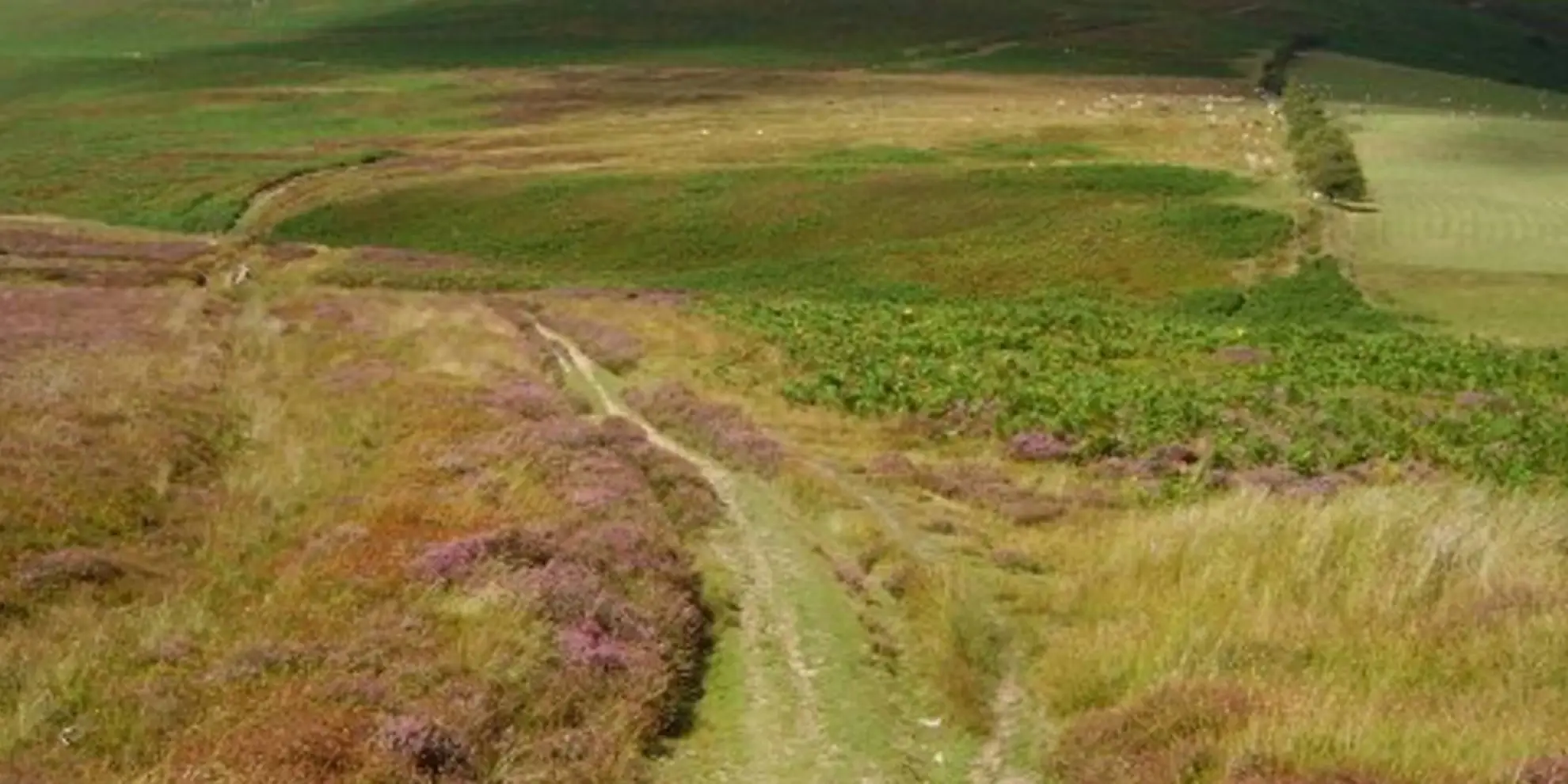 An image depicting the trail Beacon Hill near Burghclere and its surrounding area.