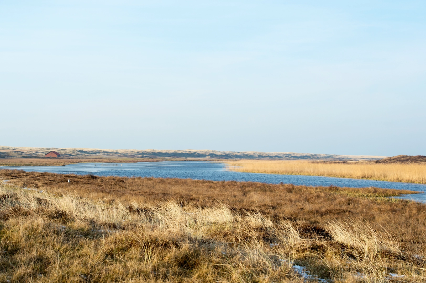 An image depicting the trail De Horsmeertjes and Loodsmansduin Loop and its surrounding area.