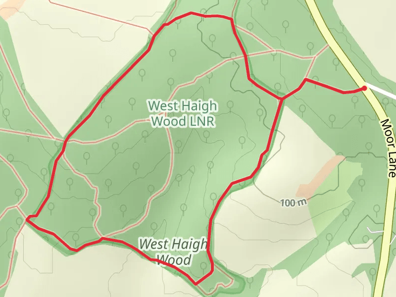 West Haigh Wood Loop