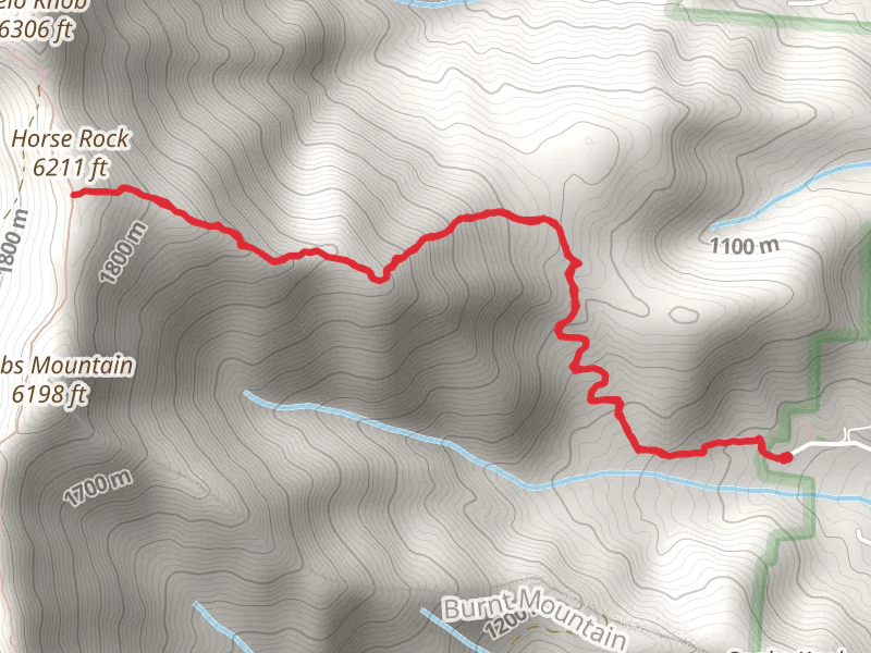 Woody Ridge Trail