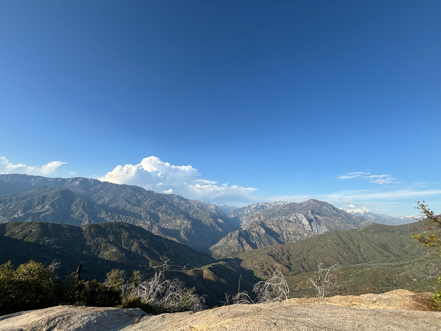 An image depicting the trail Mount Harrington via Deer Cove Trail and its surrounding area.