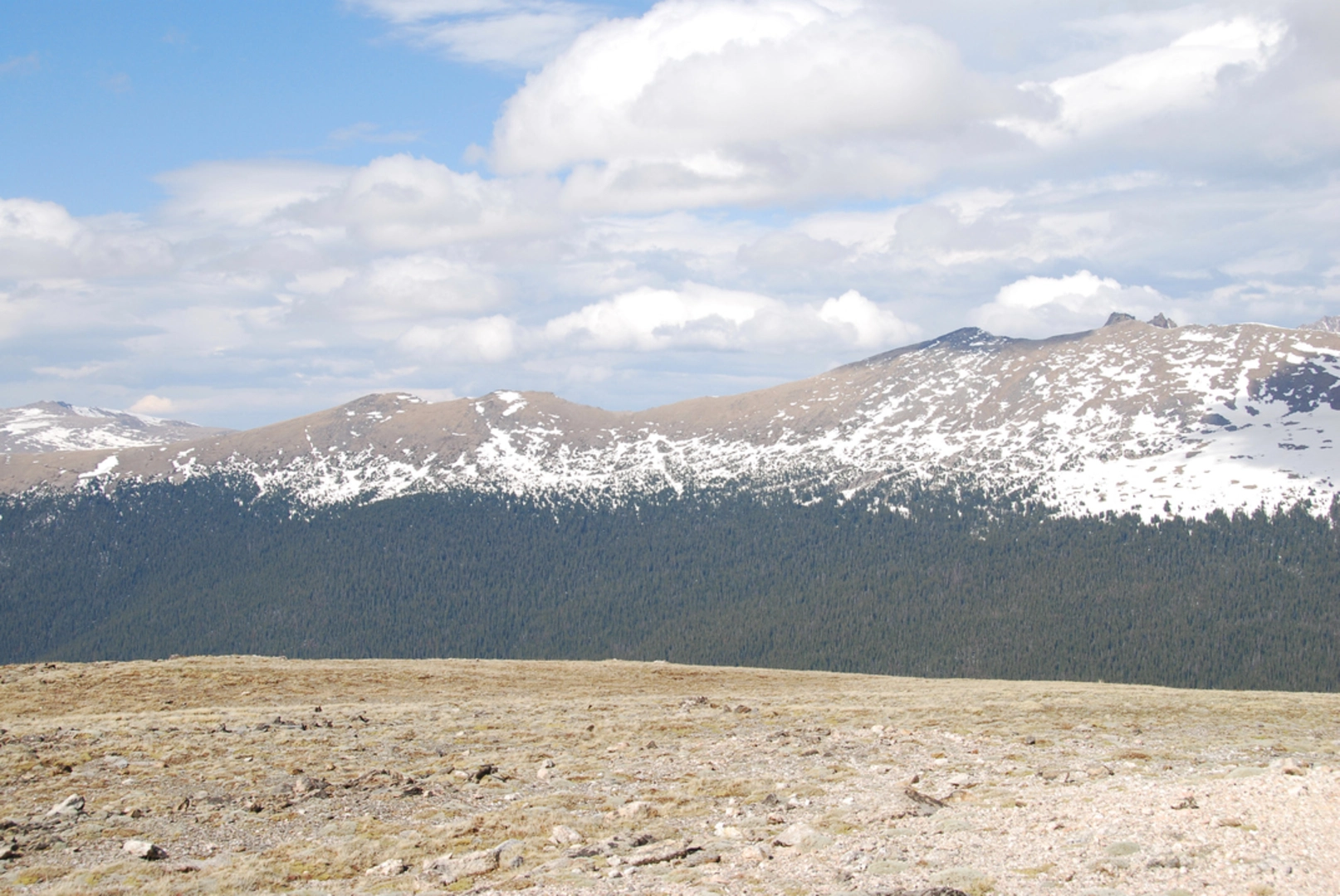 An image depicting the trail Brown's Lake Trail and its surrounding area.