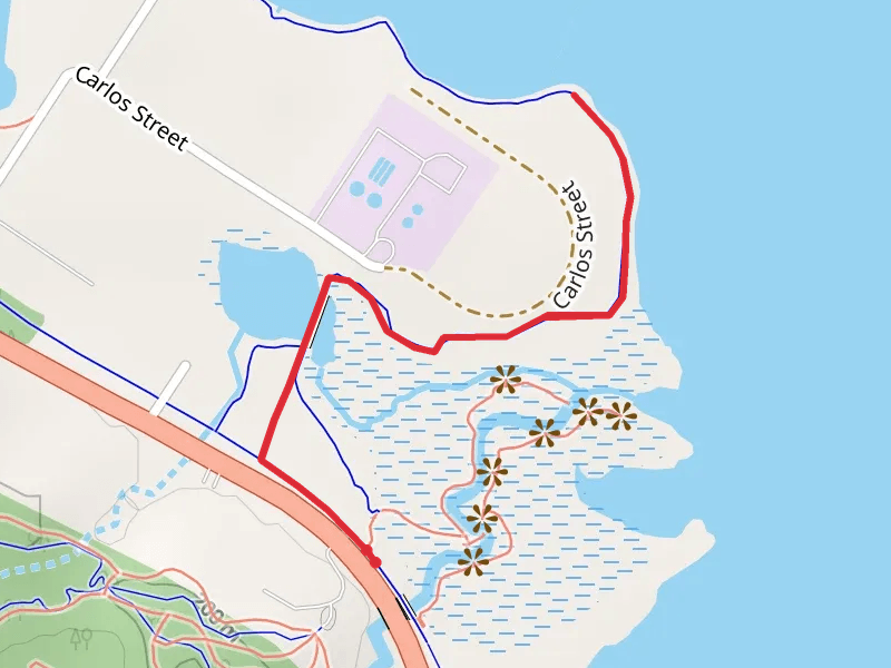 Peepsock Trail Out and Back