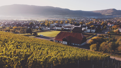Kammweg Erzgebirge - Vogtland