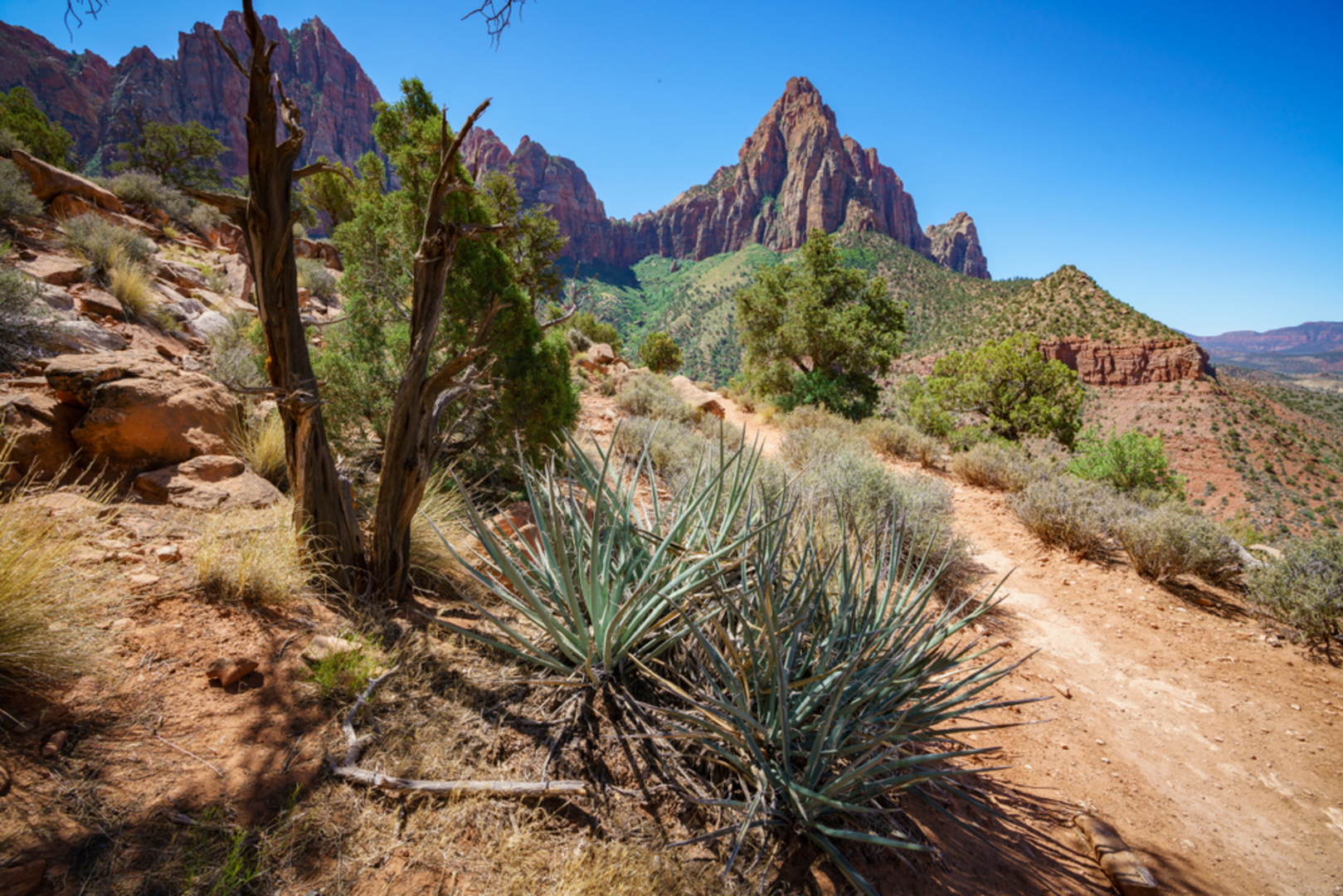 An image depicting the trail Watchman Trail and its surrounding area.