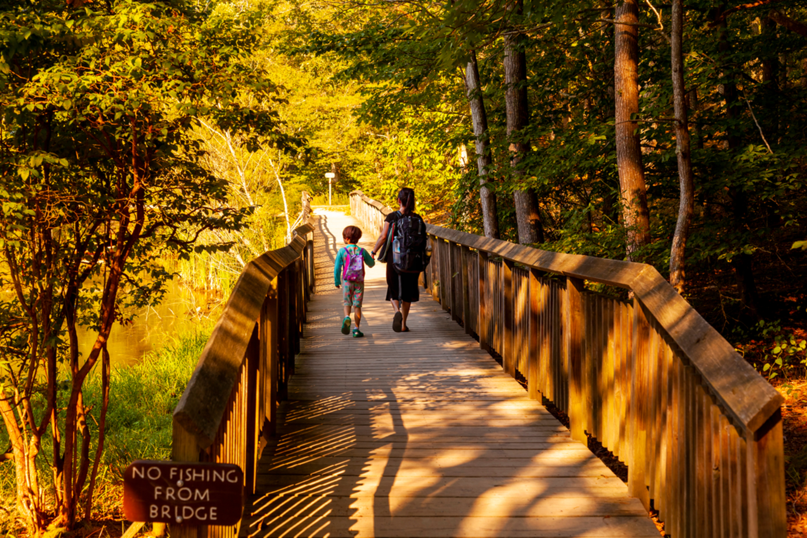 An image depicting the trail Calvert Cliffs and Beach Loop and its surrounding area.