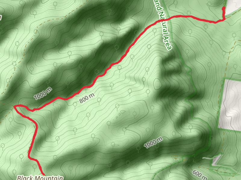 Black Mountain Trail