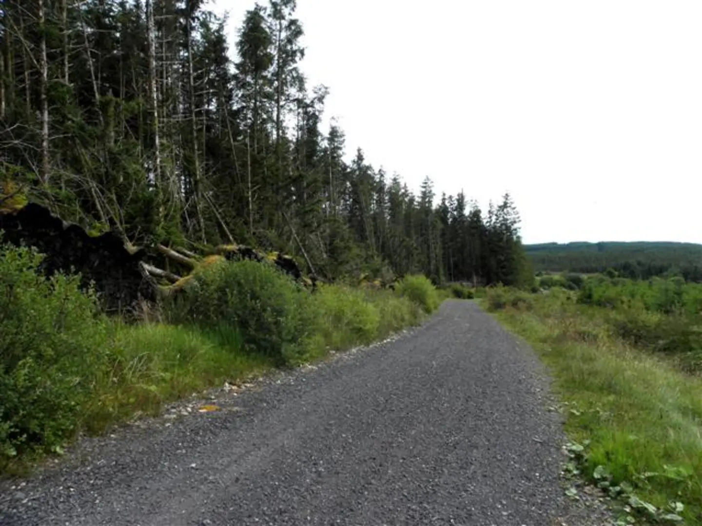 An image depicting the trail Lough Bradan to Gortin and its surrounding area.