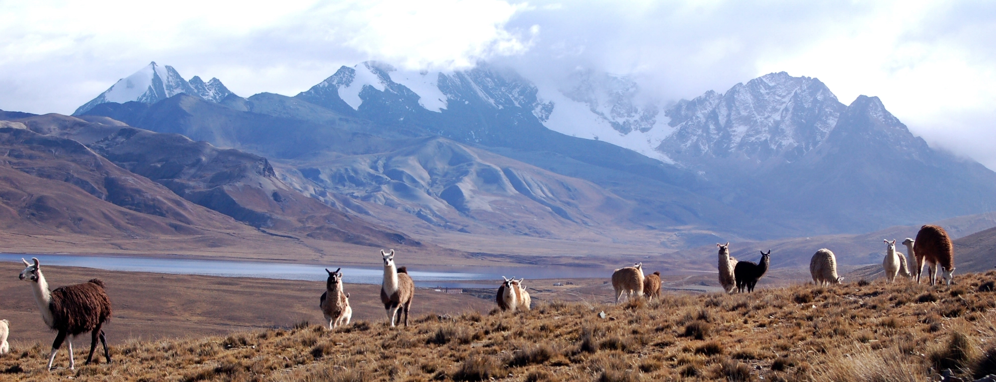 An image depicting the trail Cordillera Real Traverse and its surrounding area.