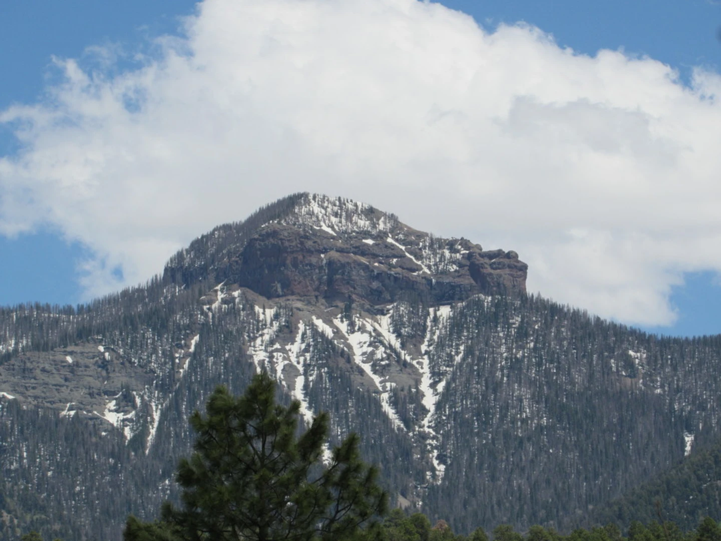 An image depicting the trail Goble Trail and its surrounding area.