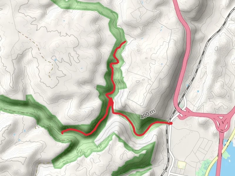 Soddy Creek and Broad Camp Creek Walk along