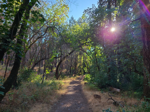Spring Trail and Upper Ritchey Canyon Loop Trail