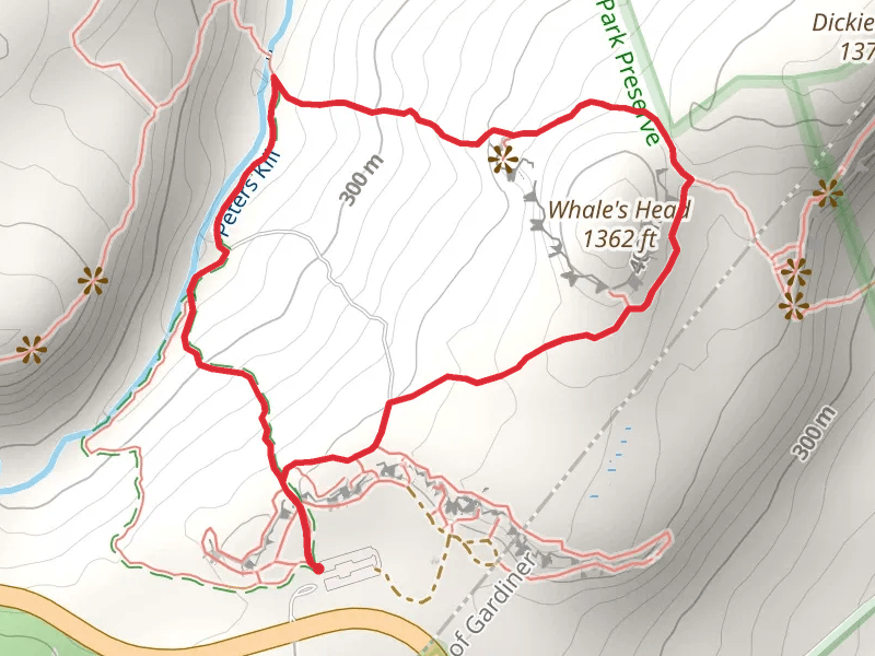 Whale's Head Summit Loop