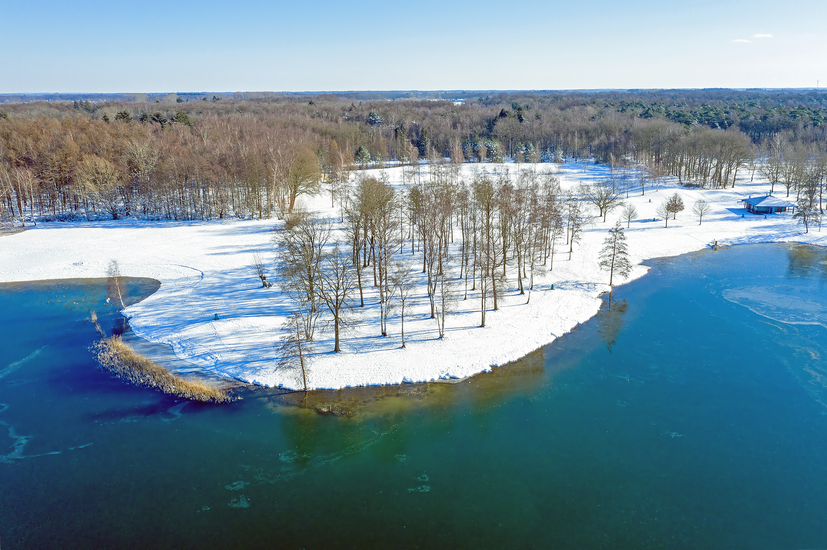 An image depicting the trail Het Bussloo Loop and its surrounding area.