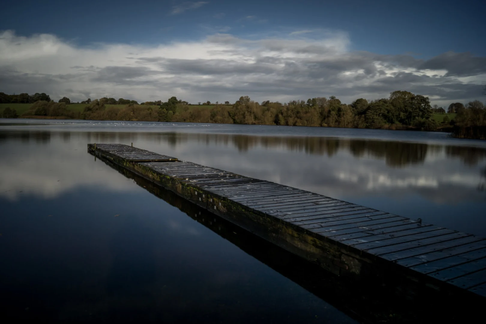 An image depicting the trail Pickmere Lake Walk and its surrounding area.