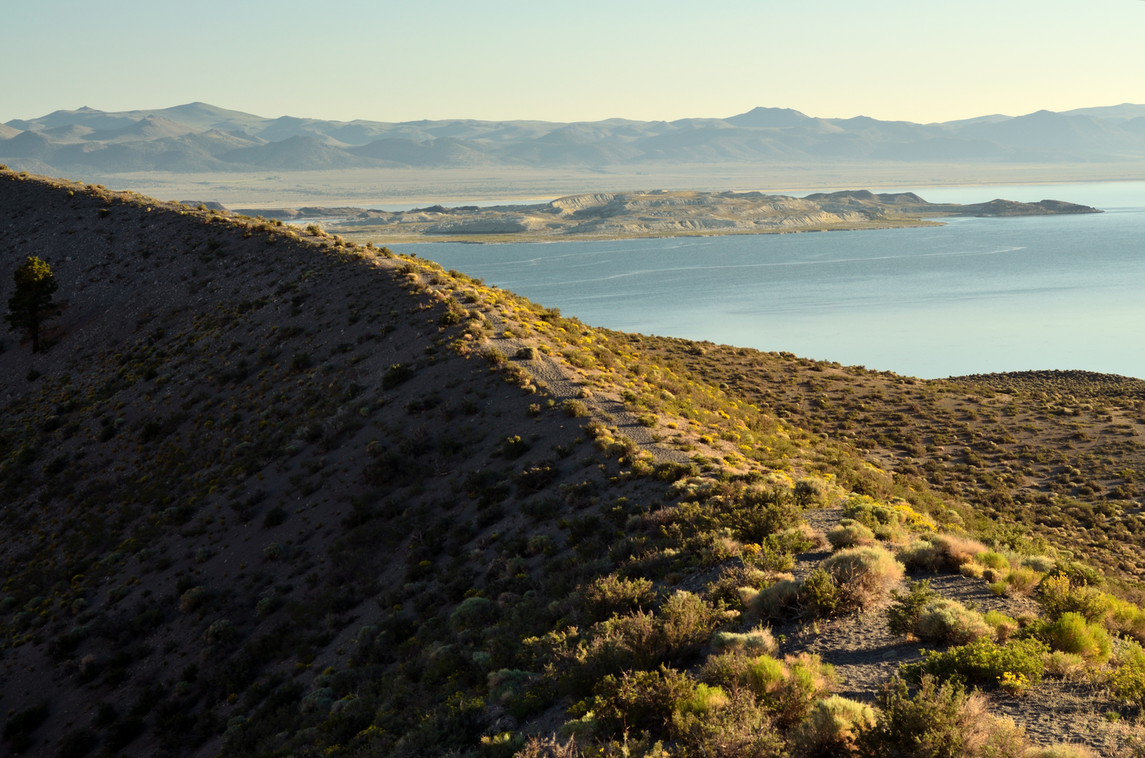 An image depicting the trail Panum Crater Rim Loop Trail and its surrounding area.