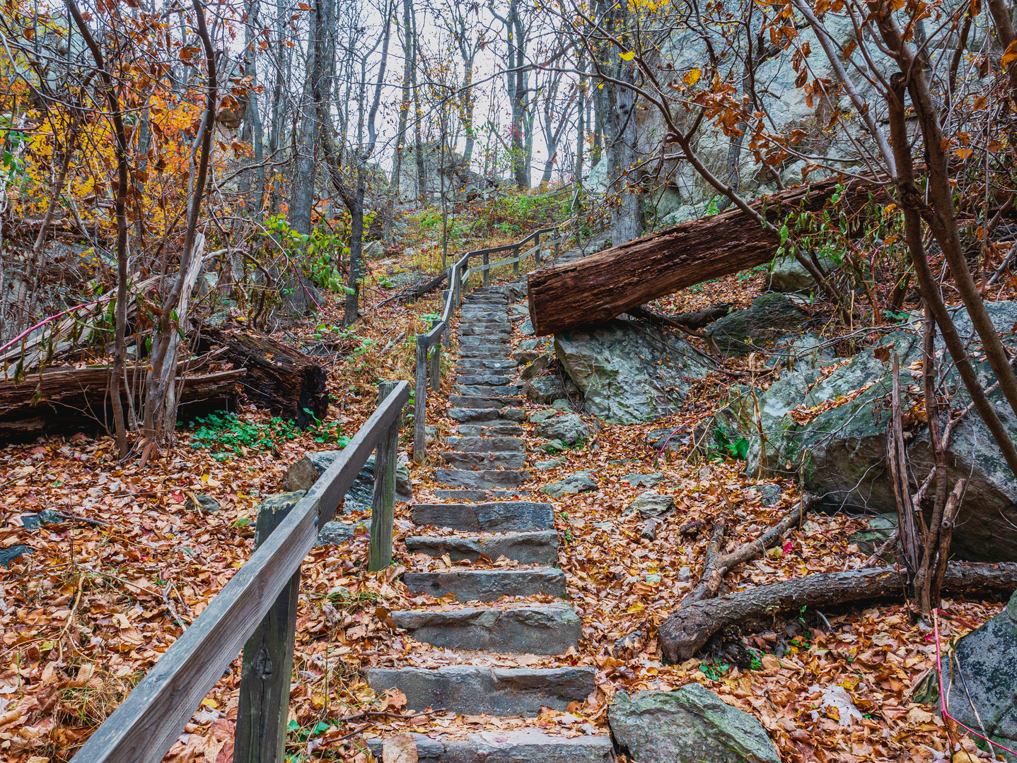 An image depicting the trail Sugarloaf Mountain and Northern Peaks Loop Trail and its surrounding area.