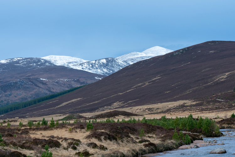 Derry Cairngorm