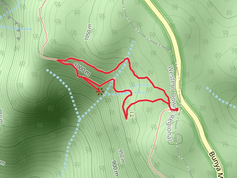 Koondaii Circuit Lookout Track