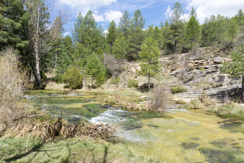 Paths around Ojos del Cabriel and Molino SL TE 14