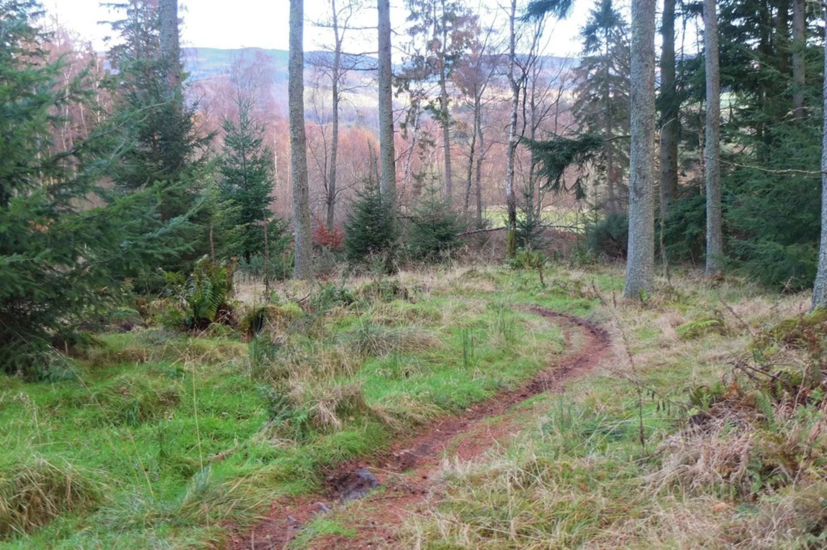 An image depicting the trail Tantah's Loop Trail and its surrounding area.