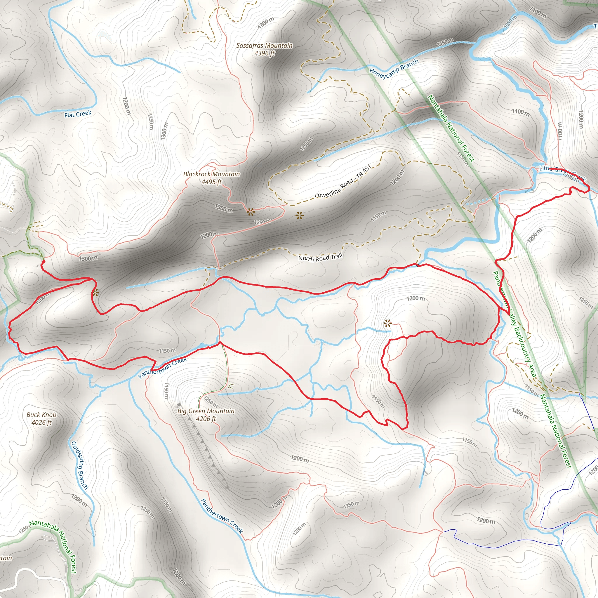 Wilderness Falls, Granny Burrell Falls, Little Green Mountain and Panthertown Valley Loop Trail mobile static map