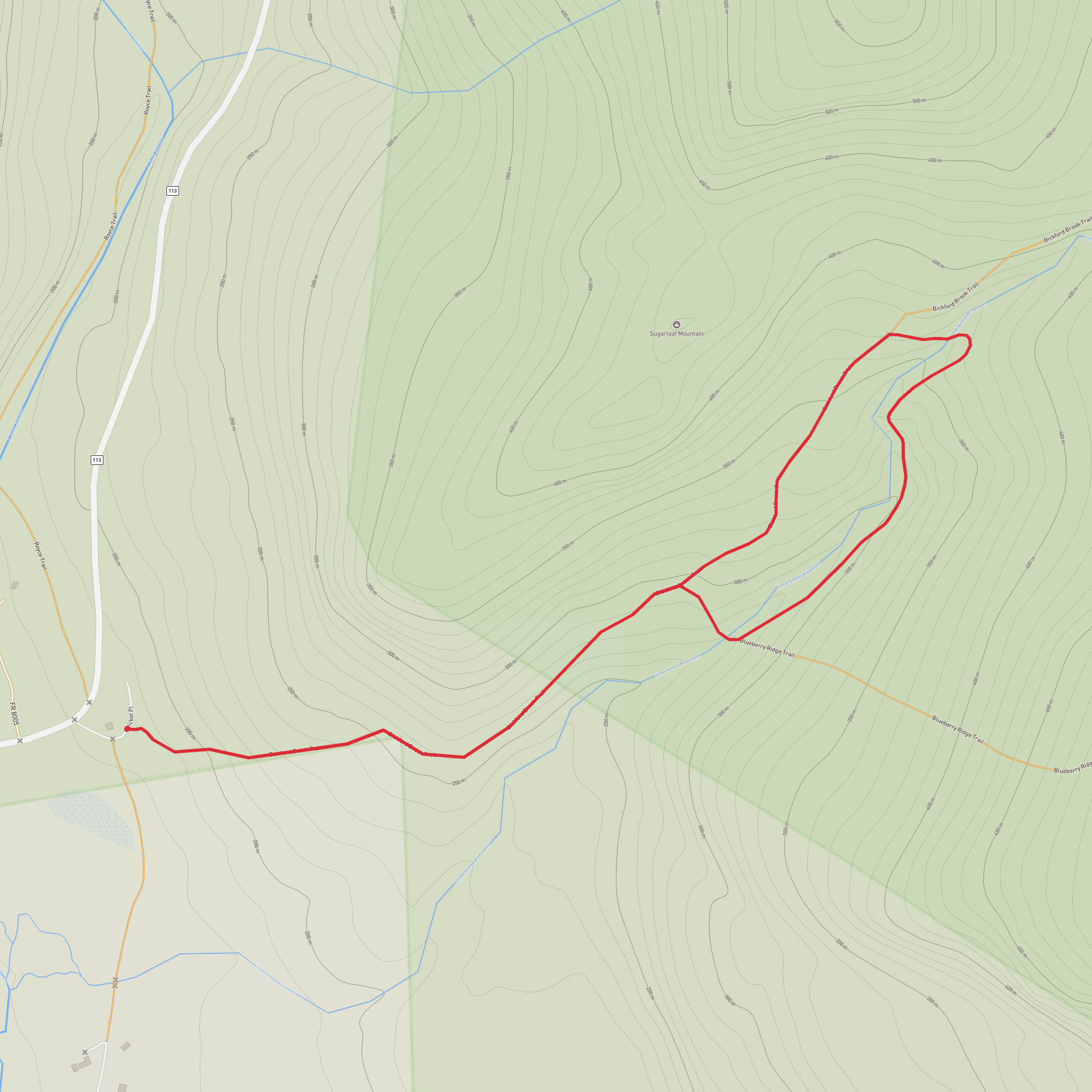 Bickford Slides via Bickford Brook Trail and Bickford Slides Trail mobile static map