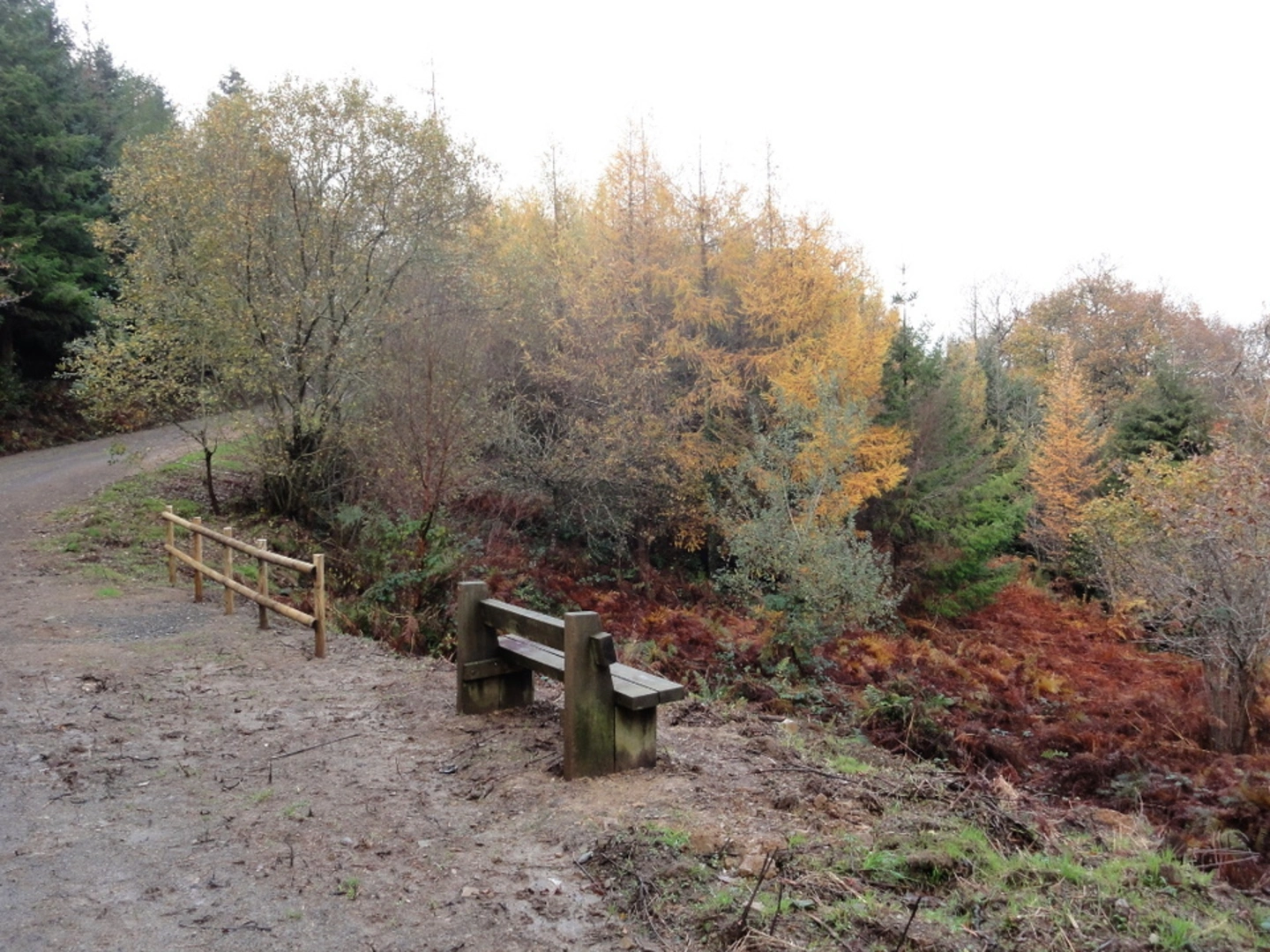 An image depicting the trail Abbeyford Woods and its surrounding area.