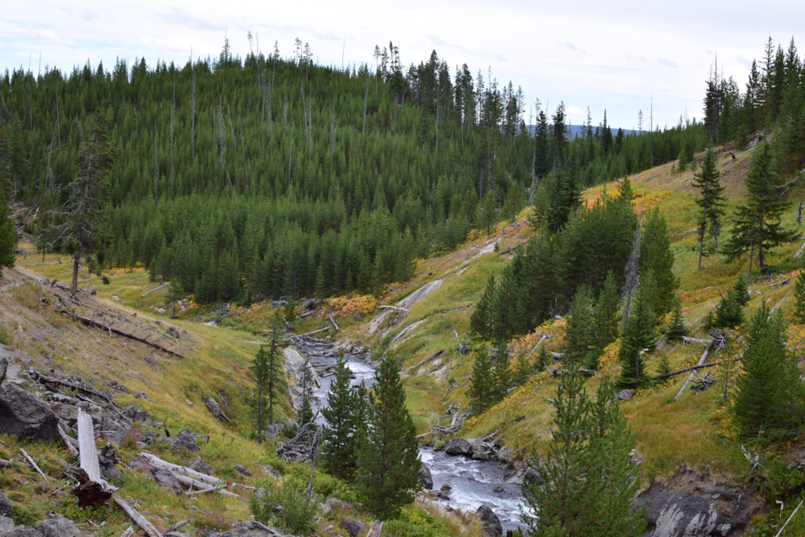 An image depicting the trail Mystic Falls Trail and its surrounding area.