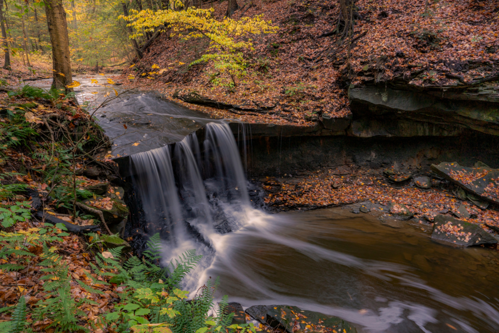 An image depicting the trail Chippewa Creek Trail and its surrounding area.
