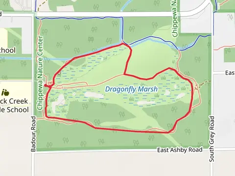 Wetlands Loop Trail