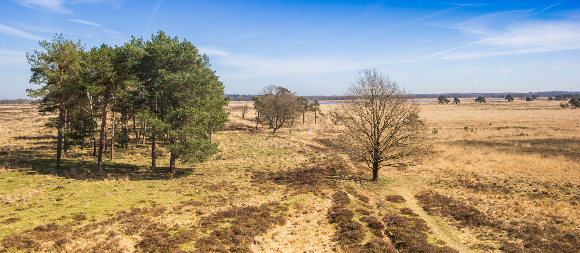 An image depicting the trail Doldersummer and Vrouwenveld Loop and its surrounding area.