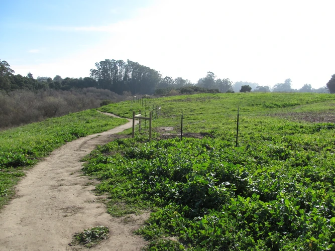 Marsh Trail and Broadway Brommer Loop Trail