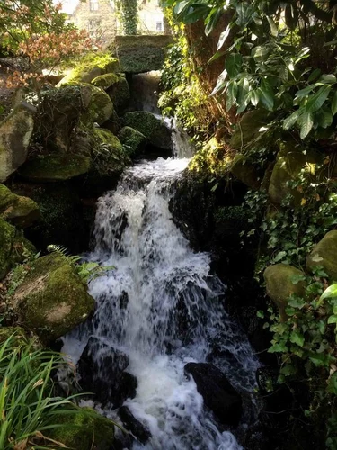 Endcliffe Park Walk