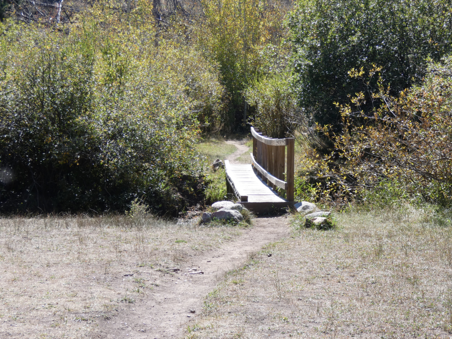 An image depicting the trail Lone Pine Creek Trail and its surrounding area.
