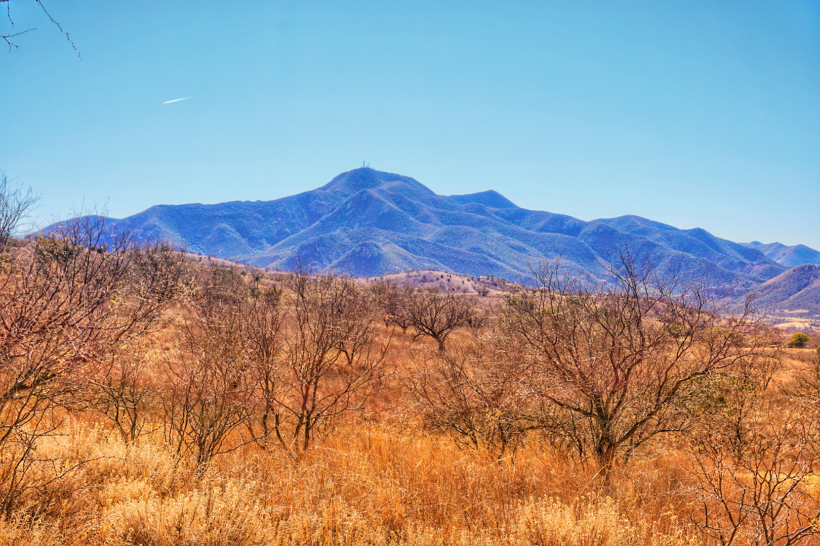 An image depicting the trail Gardner Trail and its surrounding area.