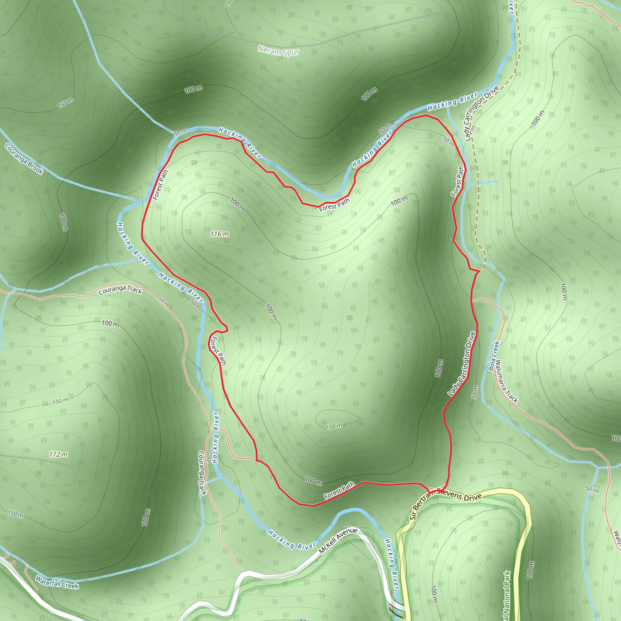 Forest Path mobile static map