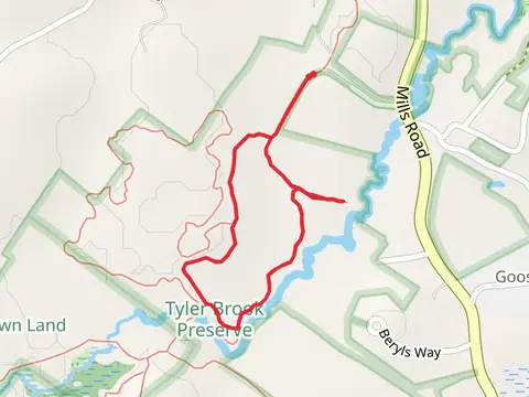 Tyler Brook Loop