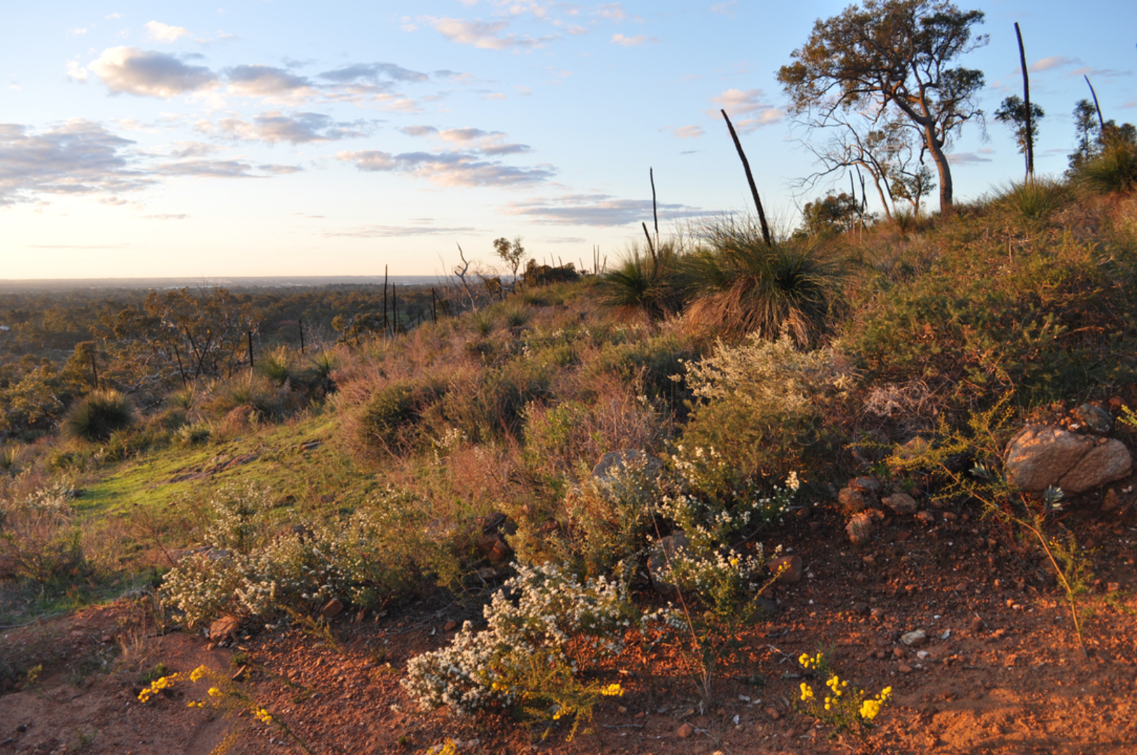 An image depicting the trail Whistlepipe Gully and its surrounding area.